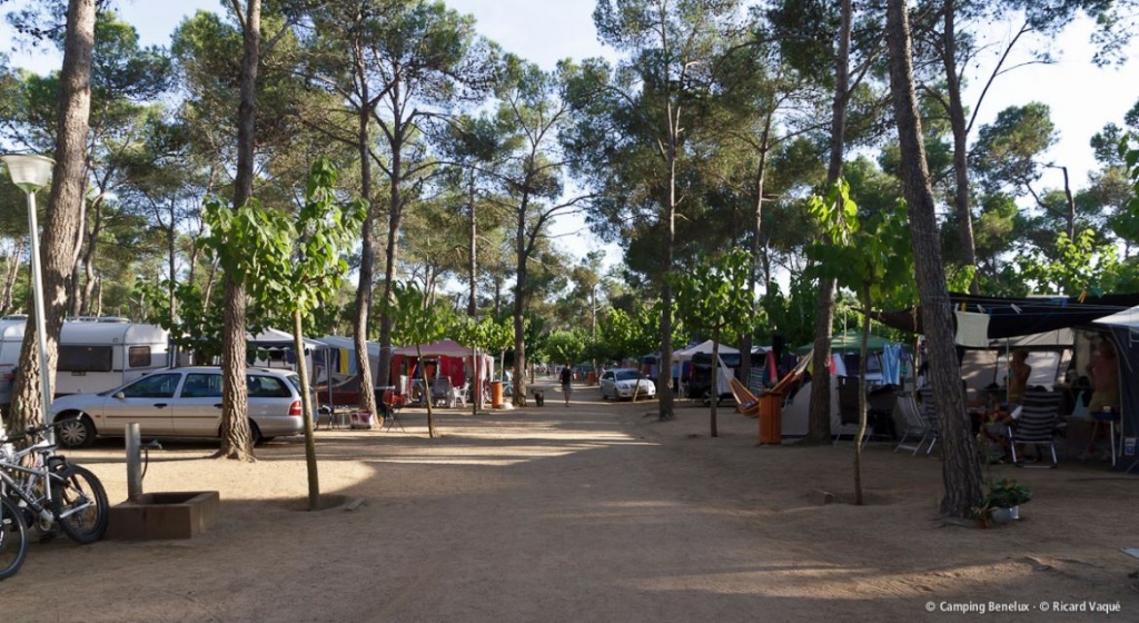 Camping Benelux Nearby Palamós on the Costa Brava